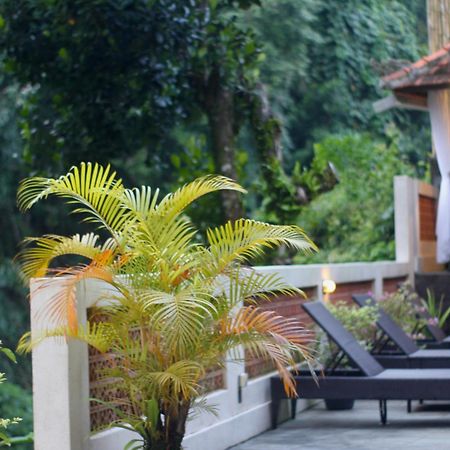 Hanaka Riverside Ubud Eksteriør billede